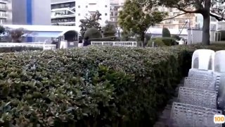 国产一区二区三区水蜜桃,国产精品无码一区二区三区免费,国产三级V888JAV